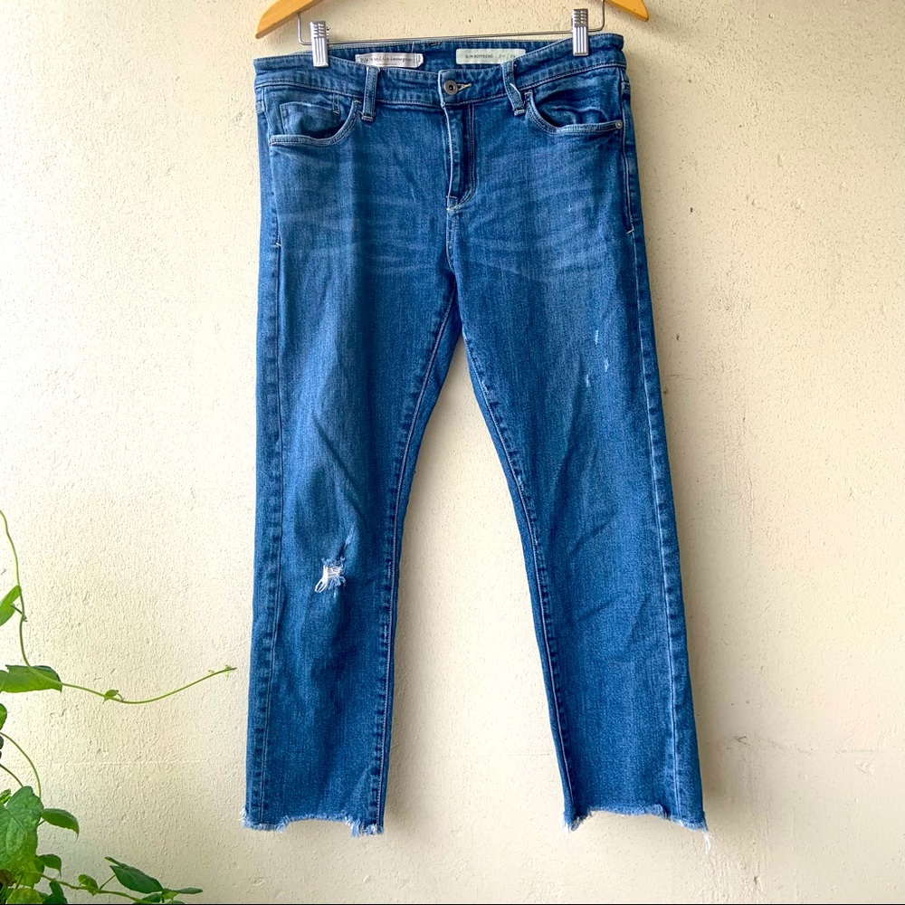 Anthropologie Pilcro and the Letterpress jeans.